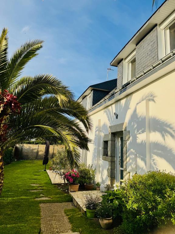 Longère blanche et son jardin de palmiers à Clohars-Carnoët